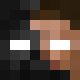 avatar Palion skin