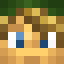 Minecraft players skin