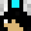 Minecraft players skin