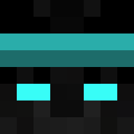 Ninja_Prase