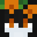 hinky_zanka
