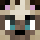 KaizerDH Minecraft head