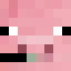 Minecraft players skin