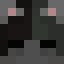 Minecraft players skin