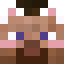 Minecraft players skin