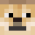 IceyDoge Minecraft head