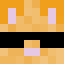 Rapidvcr