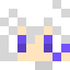 Minecraft players skin