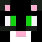 Minecraft profile picture for @Unselfish