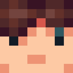 The shop owners Minecraft face