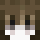 Silwy Minecraft head