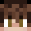Minecraft players skin
