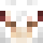 RON0VA Minecraft head
