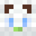 emilius650 Minecraft-head