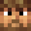 Minecraft players skin
