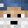 Walrus_ Minecraft head