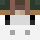 Petitbrave Minecraft head