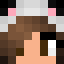 Minecraft players skin