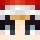 Robiyn Minecraft head