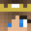 Minecraft players skin