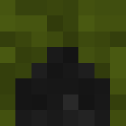 Minecraft profile picture for @Involves