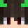 NoamShos1234 Minecraft head