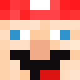 The shop owners Minecraft face