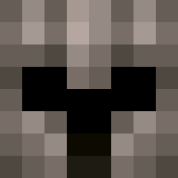 The shop owners Minecraft face