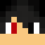 Minecraft players skin