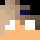 800sec Minecraft head