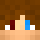 NoDrops Minecraft head