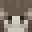 Donkey