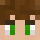 idcmansry Minecraft head