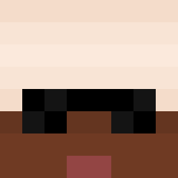 The shop owners Minecraft face