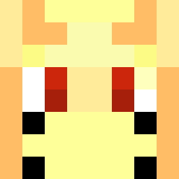 The shop owners Minecraft face