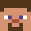 Minecraft players skin