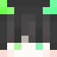 Minecraft players skin