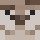 lSkyHl Minecraft head