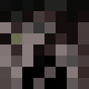 Dicer_