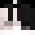 DIXEROWYPL