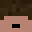Minecraft players skin