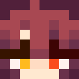 The shop owners Minecraft face