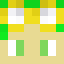 Minecraft players skin