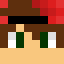 Minecraft players skin