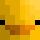 duck_maister Minecraft head