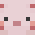 PAVVEL8D
