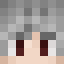 Minecraft players skin