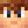 Stan22_ Minecraft head