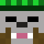 Minecraft players skin