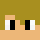 hofje Minecraft head